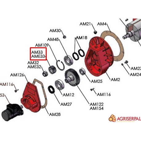 PIÑON Z23 M2,5 (AME33)